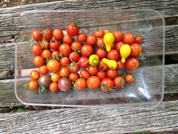 Cherry tomatoes