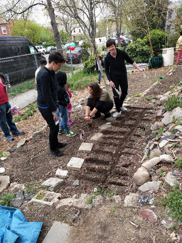Prepping a bed for seeds
