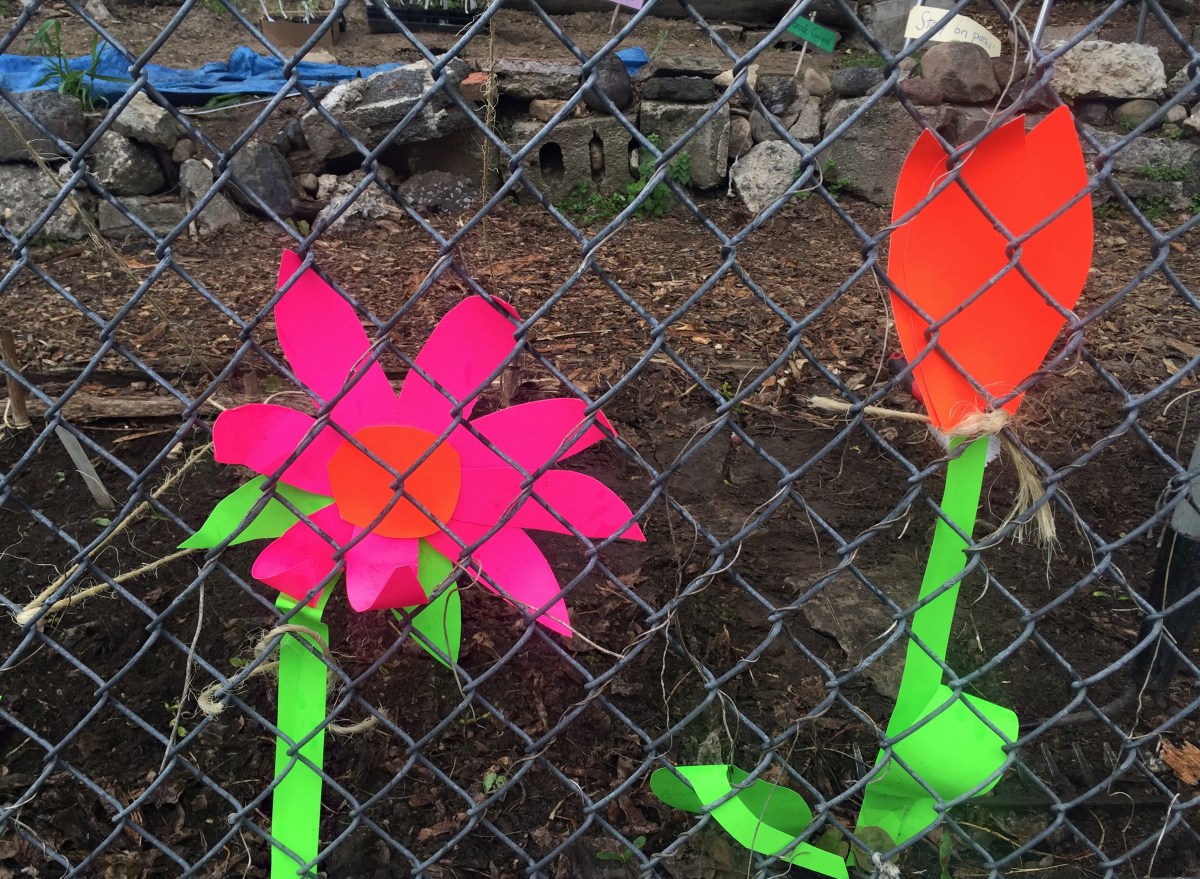 Fluoro flowers