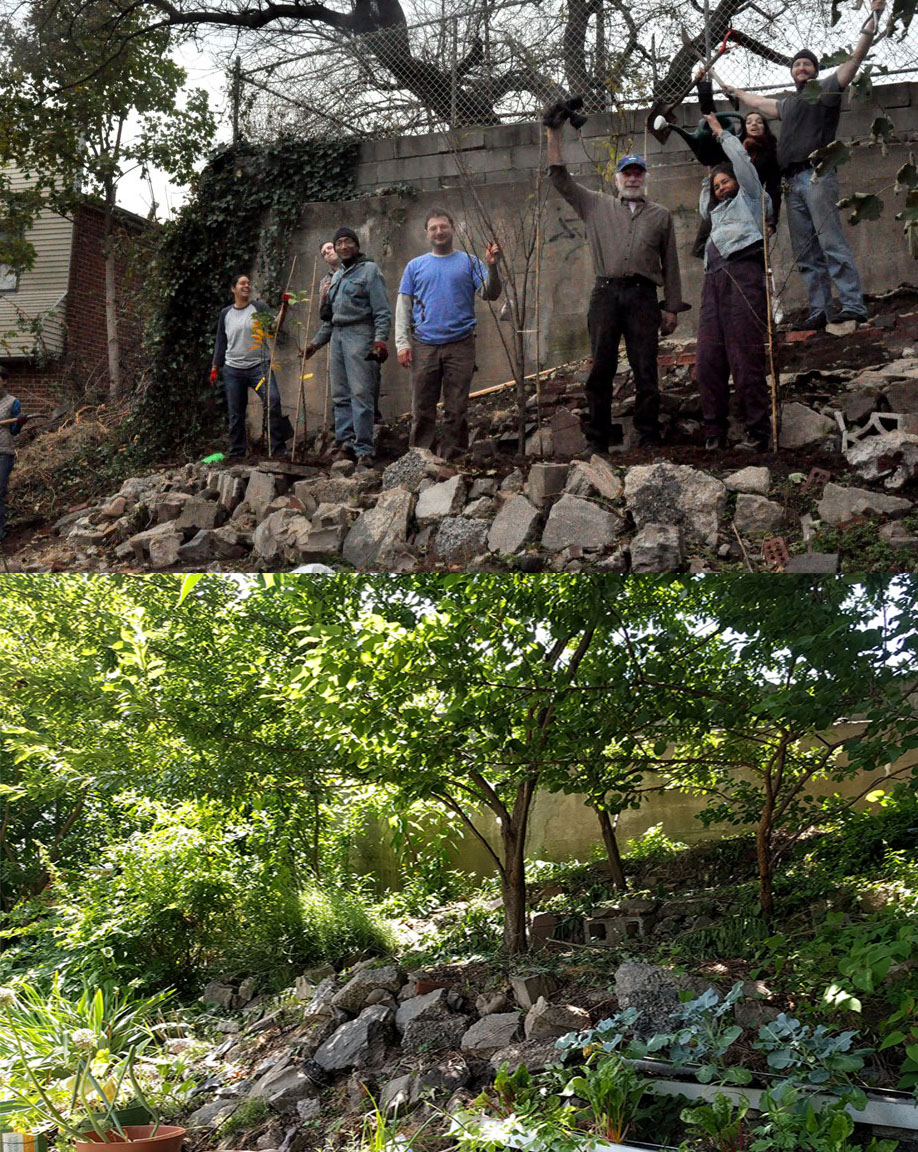 Fruit trees 2013 to 2017